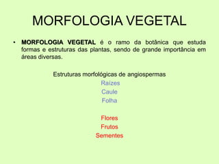 MORFOLOGIA VEGETAL
• MORFOLOGIA VEGETAL é o ramo da botânica que estuda
formas e estruturas das plantas, sendo de grande importância em
áreas diversas.
Estruturas morfológicas de angiospermas
Raízes
Caule
Folha
Flores
Frutos
Sementes
 