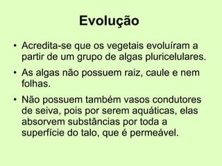 Evolução   Acredita-se que os vegetais evoluíram a partir de um grupo de algas pluricelulares. As algas não possuem raiz, caule e nem folhas. Não possuem também vasos condutores de seiva, pois por serem aquáticas, elas absorvem substâncias por toda a superfície do talo, que é permeável. 