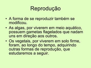 Reprodução A forma de se reproduzir também se modificou. As algas, por viverem em meio aquático, possuem gametas flagelados que nadam uns em direção aos outros. Os vegetais, por viverem em solo firme, foram, ao longo do tempo, adquirindo outras formas de reprodução, que estudaremos a seguir. 