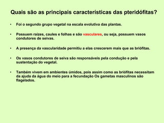 Quais são as principais características das pteridófitas? Foi o segundo grupo vegetal na escala evolutiva das plantas. Possuem raízes, caules e folhas e são  vasculares , ou seja, possuem vasos condutores de seivas. A presença da vascularidade permitiu a elas crescerem mais que as briófitas. Os vasos condutores de seiva são responsáveis pela condução e pela sustentação do vegetal. Também vivem em ambientes úmidos, pois assim como as briófitas necessitam da ajuda da água do meio para a fecundação Os gametas masculinos são flagelados. 