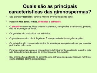 Quais são as principais características das gimnospermas? São plantas  vasculares , sendo a maioria árvores de grande porte. Possuem  raiz ,  caule ,  folhas ,  estróbilos  e  sementes . O  estróbilo  é como se fosse uma flor rudimentar, sem pétalas e sem ovário, portanto não há a formação de frutos. Os gametas são produzidos nos estróbilos. O gameta masculino não é flagelado. É transportado dentro do grão de pólen. Os estróbilos não possuem elementos de atração para os polinizadores, por isso são polinizadas pelo vento. Foram as primeiras plantas a conquistarem definitivamente o ambiente terrestre, pois não dependem mais da água do ambiente para a fecundação. Seu embrião fica protegido na semente, uma estrutura que possui reservas nutritivas e uma proteção contra a desidratação. 
