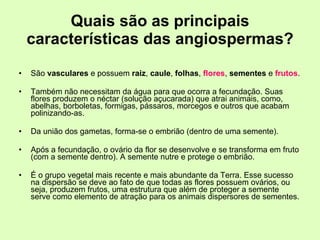 Quais são as principais características das angiospermas? São  vasculares  e possuem  raiz ,  caule ,  folhas ,  flores ,  sementes  e  frutos . Também não necessitam da água para que ocorra a fecundação. Suas flores produzem o néctar (solução açucarada) que atrai animais, como, abelhas, borboletas, formigas, pássaros, morcegos e outros que acabam polinizando-as. Da união dos gametas, forma-se o embrião (dentro de uma semente). Após a fecundação, o ovário da flor se desenvolve e se transforma em fruto (com a semente dentro). A semente nutre e protege o embrião. É o grupo vegetal mais recente e mais abundante da Terra. Esse sucesso na dispersão se deve ao fato de que todas as flores possuem ovários, ou seja, produzem frutos, uma estrutura que além de proteger a semente serve como elemento de atração para os animais dispersores de sementes. 