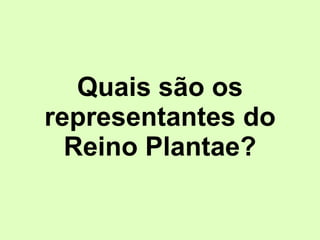 Quais são os representantes do Reino Plantae? 