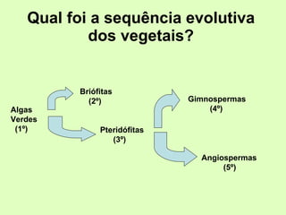 Qual foi a sequência evolutiva dos vegetais? Algas Verdes (1º) Briófitas (2º) Pteridófitas (3º)   Gimnospermas (4º) Angiospermas (5º) 
