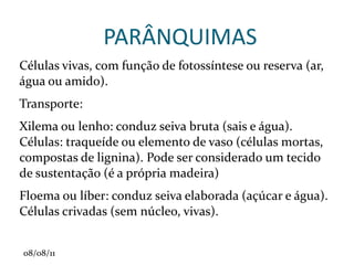 Cálice : é o órgão formado por um conjunto de folhas estéreis denominadas sépalas. 