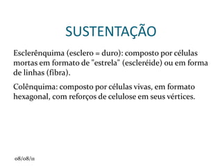 Corola : é o órgão formado por um conjunto de folhas estéreis denominadas pétalas. 