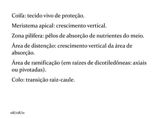 Androceu : é o órgão reprodutor masculino denominado estame. Vem logo depois da corola, e é produtor de grãos de pólen. 