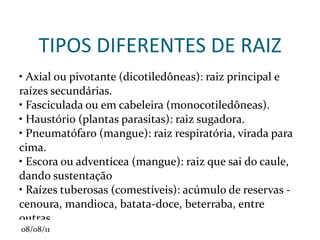 Perigônio : conjunto de corolas e de cálices que se apresentam iguais na forma, tamanho e cor. 