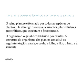 CARACTERÍSTICAS GERAIS DA PLANTAS O reino plantae é formado por todas as espécies de plantas. Ele abrange os seres eucariontes, pluricelulares, autotróficos, que executam a fotossíntese.  