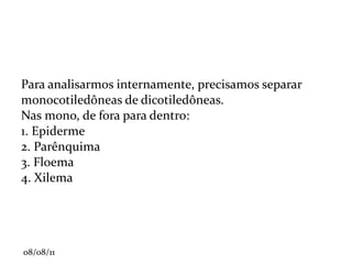 Transporte: Xilema ou lenho: conduz seiva bruta (sais e água). Células: traqueíde ou elemento de vaso (células mortas, compostas de lignina). Pode ser considerado um tecido de sustentação (é a própria madeira) 