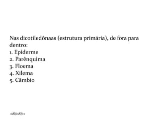 Floema ou líber: conduz seiva elaborada (açúcar e água). Células crivadas (sem núcleo, vivas). 