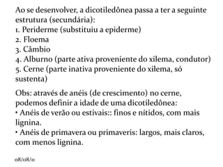 SUSTENTAÇÃO Esclerênquima (esclero = duro): composto por células mortas em formato de "estrela" (escleréide) ou em forma de linhas (fibra). 