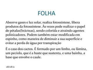 Coifa: tecido vivo de proteção. 