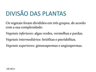 O organismo vegetal é constituído por células. A estrutura do organismo das plantas constitui os seguintes órgãos: a raiz, o caule, a folha, a flor, o fruto e a semente. 