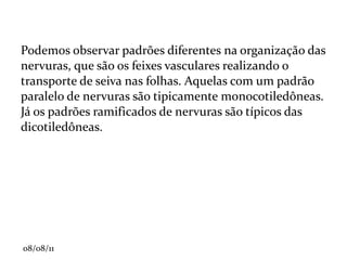 Zona pilífera: pêlos de absorção de nutrientes do meio. 