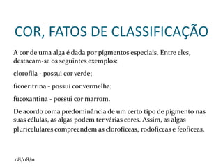 Num corte transversal da raiz, podemos ver sua anatomia interna, dos cantos para o centro:   1. Epiderme 2. Parênquima 3. Endoderme: seleciona as células que entrarão no Cilindro vascular, criando uma faixa lateral de súber (também forma, junto com o parênquima, o Córtex) 4. Periciclo 5. Xilema 6. Floema (junto com o xilema e com o periciclo, forma o cilindro central ou vascular, que forma as raízes laterais - meristema 1°). 