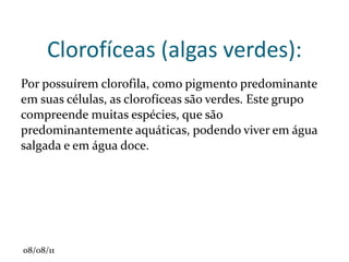 TIPOS DIFERENTES DE RAIZ •  Axial ou pivotante (dicotiledôneas): raiz principal e raízes secundárias. • Fasciculada ou em cabeleira (monocotiledôneas). • Haustório (plantas parasitas): raiz sugadora. • Pneumatófaro (mangue): raiz respiratória, virada para cima. • Escora ou adventícea (mangue): raiz que sai do caule, dando sustentação • Raízes tuberosas (comestíveis): acúmulo de reservas - cenoura, mandioca, batata-doce, beterraba, entre outras. 