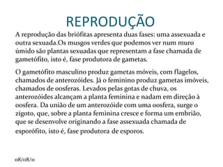 Nas dicotiledônaas (estrutura primária), de fora para dentro:   1. Epiderme 2. Parênquima 3. Floema 4. Xilema 5. Câmbio  