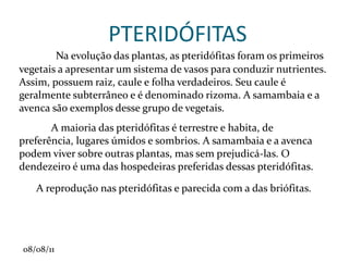 Obs: através de anéis (de crescimento) no cerne, podemos definir a idade de uma dicotiledônea: • Anéis de verão ou estivais:: finos e nítidos, com mais lignina. • Anéis de primavera ou primaveris: largos, mais claros, com menos lignina. 