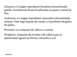 Vegetais inferiores : algas verdes, vermelhas e pardas.  