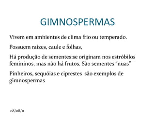 FOLHA Absorve gases e luz solar, realiza fotossíntese, libera produtos da fotossíntese. Às vezes pode realizar o papel de pétalas(brácteas), sendo colorida e atraindo agentes polinizadores. Podem também estar modificada em espinho, como maneira de diminuir a sua superfície e evitar a perda de água por transpiração 