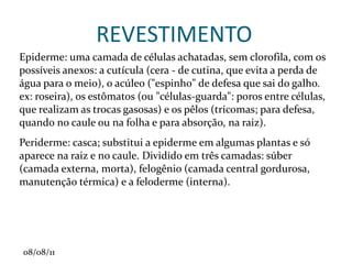 Receptáculo Floral : é a região inchada do pedúnculo, onde estão contidos os órgãos florais: cálice, corola, gineceu e androceu. 