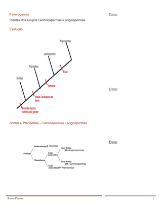 Fanerogamas                                             Data:
 Plantas dos Grupos Ginmnospermas e angiospermas.

 Evolução:




                                                         Data:




 Briófitas- Pteridófitas – Gimnospermas - Angiospermas




                                                         Data:




Reino Plantae                                                    2
 