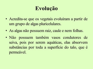 Evolução
• Acredita-se que os vegetais evoluíram a partir de
um grupo de algas pluricelulares.
• As algas não possuem raiz, caule e nem folhas.
• Não possuem também vasos condutores de
seiva, pois por serem aquáticas, elas absorvem
substâncias por toda a superfície do talo, que é
permeável.
 