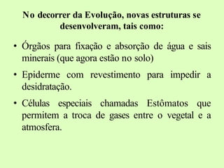 No decorrer da Evolução, novas estruturas se
desenvolveram, tais como:
• Órgãos para fixação e absorção de água e sais
minerais (que agora estão no solo)
• Epiderme com revestimento para impedir a
desidratação.
• Células especiais chamadas Estômatos que
permitem a troca de gases entre o vegetal e a
atmosfera.
 