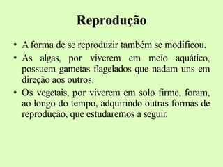 Reprodução
• Aforma de se reproduzir também se modificou.
• As algas, por viverem em meio aquático,
possuem gametas flagelados que nadam uns em
direção aos outros.
• Os vegetais, por viverem em solo firme, foram,
ao longo do tempo, adquirindo outras formas de
reprodução, que estudaremos a seguir.
 