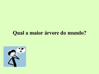 Qual a maior árvore do mundo?
 