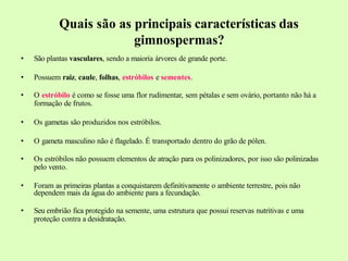 Quais são as principais características das
gimnospermas?
• São plantas vasculares, sendo a maioria árvores de grande porte.
• Possuem raiz, caule, folhas, estróbilos e sementes.
• O estróbilo é como se fosse uma flor rudimentar, sem pétalas e sem ovário, portanto não há a
formação de frutos.
• Os gametas são produzidos nos estróbilos.
• O gameta masculino não é flagelado. É transportado dentro do grão de pólen.
• Os estróbilos não possuem elementos de atração para os polinizadores, por isso são polinizadas
pelo vento.
• Foram as primeiras plantas a conquistarem definitivamente o ambiente terrestre, pois não
dependem mais da água do ambiente para a fecundação.
• Seu embrião fica protegido na semente, uma estrutura que possui reservas nutritivas e uma
proteção contra a desidratação.
 