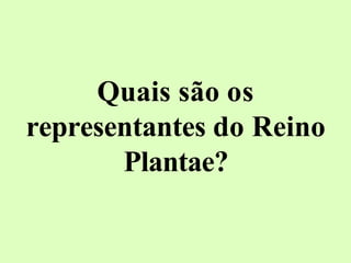 Quais são os
representantes do Reino
Plantae?
 