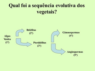 Qual foi a sequência evolutiva dos
vegetais?
Algas
V
erdes
(1º)
Briófitas
(2º)
Pteridófitas
(3º)
Gimnospermas
(4º)
Angiospermas
(5º)
 