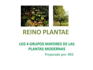 REINO PLANTAE
LOS 4 GRUPOS MAYORES DE LAS
PLANTAS MODERNAS
Preparado por: RKS
 