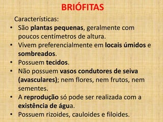 BRIÓFITAS 
Características: 
• São plantas pequenas, geralmente com 
poucos centímetros de altura. 
• Vivem preferencialmente em locais úmidos e 
sombreados. 
• Possuem tecidos. 
• Não possuem vasos condutores de seiva 
(avasculares); nem flores, nem frutos, nem 
sementes. 
• A reprodução só pode ser realizada com a 
existência de água. 
• Possuem rizoides, cauloides e filoides. 
 