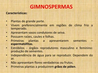 GIMNOSPERMAS 
Características: 
• Plantas de grande porte. 
• Vivem preferencialmente em regiões de clima frio a 
temperado. 
• Apresentam vasos condutores de seiva. 
• Possuem raízes, caules e folhas. 
• Primeiras plantas a apresentarem sementes – 
espermatófitas. 
• Estróbilos - órgãos reprodutores masculino e feminino: 
produção de sementes. 
• Independência de água para se reproduzir. Dependem do 
ar. 
• Não apresentam flores verdadeiras ou frutos. 
• Primeiras plantas a produzirem grãos de pólen. 
 