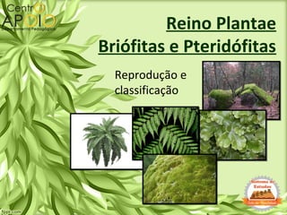 Reino Plantae
Briófitas e Pteridófitas
Reprodução e
classificação
 