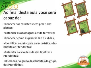 Ao final desta aula você será
capaz de:
•Conhecer as características gerais das
plantas;
•Entender as adaptações à vida terrestre;
•Conhecer como as plantas são divididas;
•Identificar as principais características das
Briófitas e Pteridófitas;
•Entender o ciclo de vida das Briófitas e
Pteridófitas;
•Diferenciar o grupo das Briófitas do grupo
das Pteridófitas.
 
