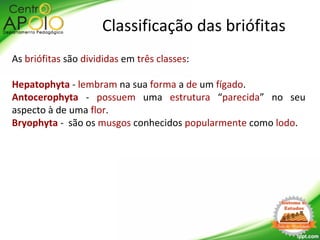 As briófitas são divididas em três classes:
Hepatophyta - lembram na sua forma a de um fígado.
Antocerophyta - possuem uma estrutura “parecida” no seu
aspecto à de uma flor.
Bryophyta - são os musgos conhecidos popularmente como lodo.
Classificação das briófitas
 