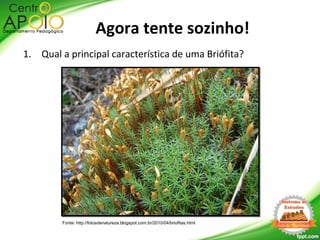 Agora tente sozinho!
1. Qual a principal característica de uma Briófita?
Fonte: http://fotosdenatureza.blogspot.com.br/2010/04/briofitas.html
 
