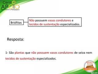 1- São plantas que não possuem vasos condutores de seiva nem
tecidos de sustentação especializados.
Briófitas
Não possuem vasos condutores e
tecidos de sustentação especializados.
Resposta:
 