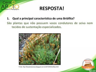 RESPOSTA!
1. Qual a principal característica de uma Briófita?
São plantas que não possuem vasos condutores de seiva nem
tecidos de sustentação especializados.
Fonte: http://fotosdenatureza.blogspot.com.br/2010/04/briofitas.html
 