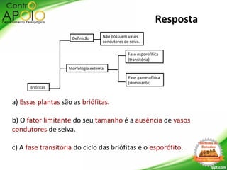 Resposta
a) Essas plantas são as briófitas.
b) O fator limitante do seu tamanho é a ausência de vasos
condutores de seiva.
c) A fase transitória do ciclo das briófitas é o esporófito.
Briófitas
Morfologia externa
Definição Não possuem vasos
condutores de seiva.
Fase esporofítica
(transitória)
Fase gametofítica
(dominante)
 