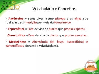 Vocabulário e Conceitos
• Autótrofos = seres vivos, como plantas e as algas que
realizam a sua nutrição por meio da fotossíntese.
• Esporofítica = Fase de vida da planta que produz esporos.
• Gametofítica = Fase de vida da planta que produz gametas.
• Metagênese = Alternância das fases, esporofíticas e
gametofíticas, durante a vida da planta.
 