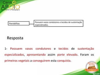 Resposta
1- Possuem vasos condutores e tecidos de sustentação
especializados, apresentando assim porte elevado. Foram os
primeiros vegetais a conseguirem esta conquista.
Pteridófitas
Possuem vasos condutores e tecidos de sustentação
especializados.
 