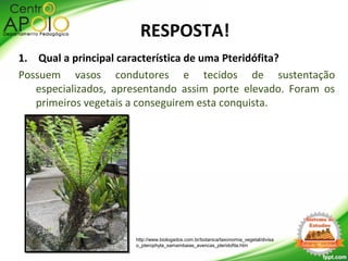 1. Qual a principal característica de uma Pteridófita?
Possuem vasos condutores e tecidos de sustentação
especializados, apresentando assim porte elevado. Foram os
primeiros vegetais a conseguirem esta conquista.
http://www.biologados.com.br/botanica/taxonomia_vegetal/divisa
o_pterophyta_samambaias_avencas_pteridofita.htm
RESPOSTA!
 