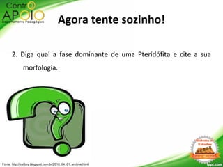 2. Diga qual a fase dominante de uma Pteridófita e cite a sua
morfologia.
Fonte: http://icefboy.blogspot.com.br/2010_04_01_archive.html
Agora tente sozinho!
 