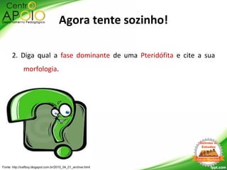 2. Diga qual a fase dominante de uma Pteridófita e cite a sua
morfologia.
Fonte: http://icefboy.blogspot.com.br/2010_04_01_archive.html
Agora tente sozinho!
 