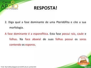 2. Diga qual a fase dominante de uma Pteridófita e cite a sua
morfologia.
A fase dominante é a esporofítica. Esta fase possui raiz, caule e
folhas. Na face abaxial de suas folhas possui os soros
contendo os esporos.
Fonte: http://icefboy.blogspot.com.br/2010_04_01_archive.html
RESPOSTA!
 